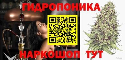 эйфоретик Бийск