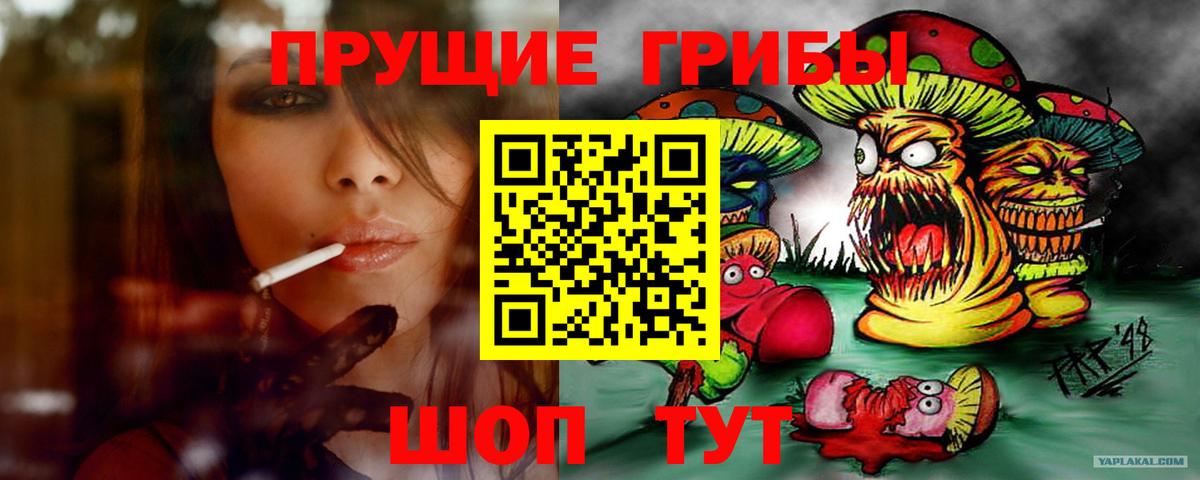 Псилоцибиновые грибы Psilocybe Знаменск